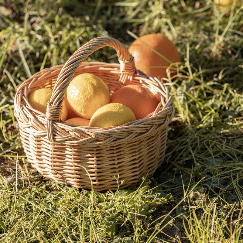 small woven baskets for plants Small Kitchen Storage Baskets, Picnic Storage Basket with Handle, Hand – Paintingforhome