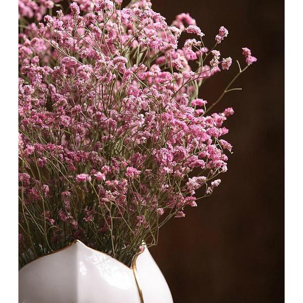 Natural Dried Flowers