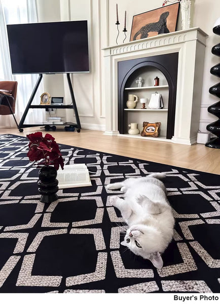 Abstract Contemporary Rugs for Bedroom, Modern Area Rugs under Sofa, Modern Black Rugs for Living Room, Dining Room Floor Rugs, Modern Carpets for Office-Paintingforhome