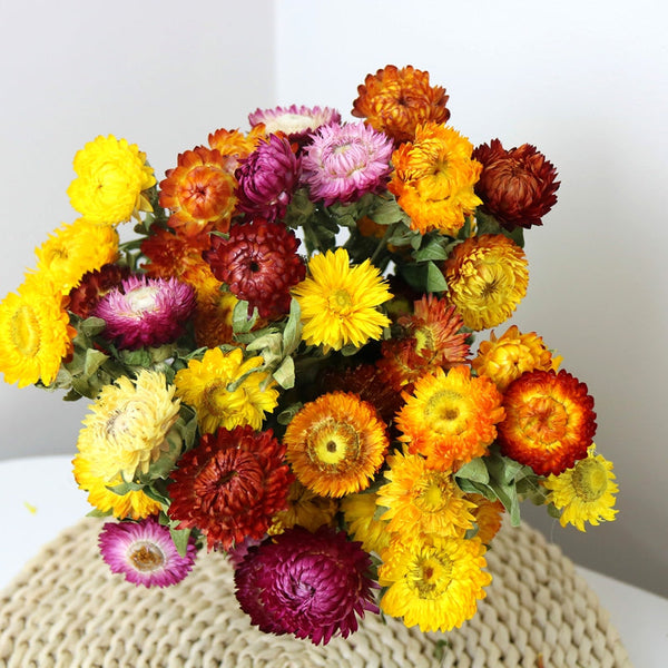 Natural Dried Daisy Flowers, Flower Arrangements, Natural Decorations, A Bunch of Dried Daisy Flowers, Handmade Artificial Flowers for Home Decor-Paintingforhome