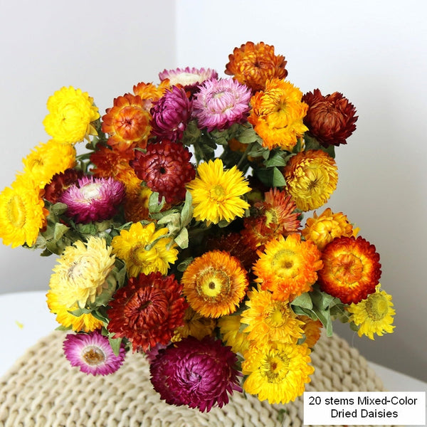 Natural Dried Daisy Flowers, Flower Arrangements, Natural Decorations, A Bunch of Dried Daisy Flowers, Handmade Artificial Flowers for Home Decor-Paintingforhome
