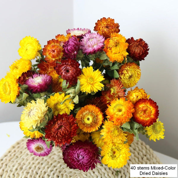 Natural Dried Daisy Flowers, Flower Arrangements, Natural Decorations, A Bunch of Dried Daisy Flowers, Handmade Artificial Flowers for Home Decor-Paintingforhome