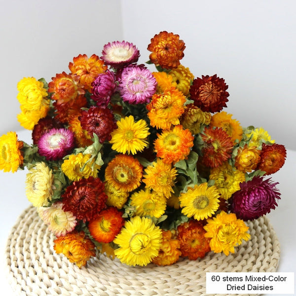 Natural Dried Daisy Flowers, Flower Arrangements, Natural Decorations, A Bunch of Dried Daisy Flowers, Handmade Artificial Flowers for Home Decor-Paintingforhome