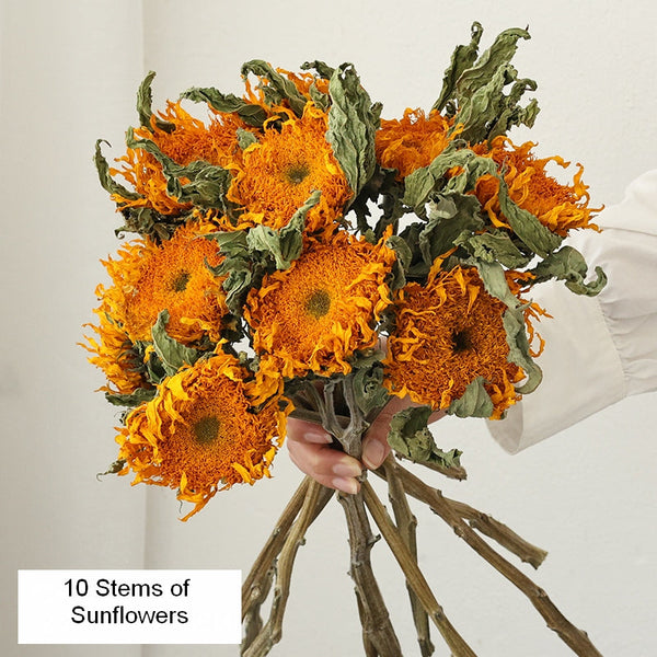 Natural Decorations, A Bunch of Sunflowers, Flower Arrangement, Handmade Artificial Flowers for Home Decor, Natural Dried Sunflower Stems-Paintingforhome