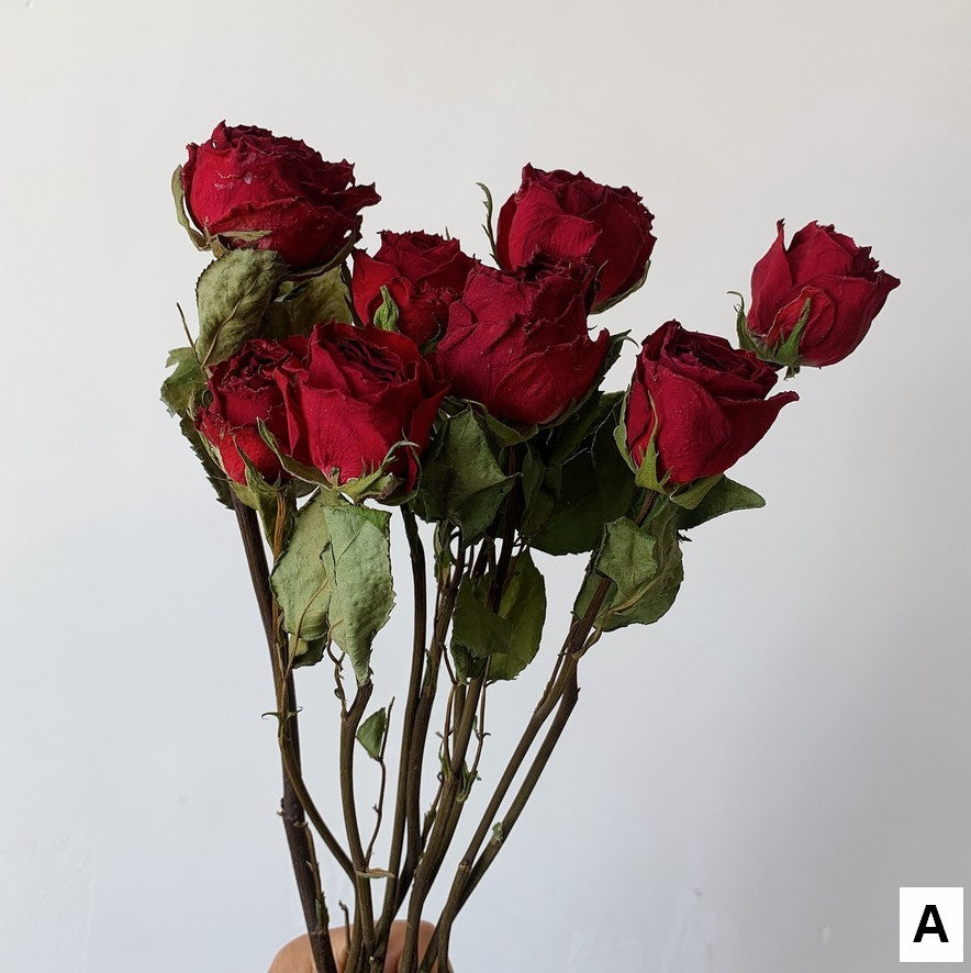 Dried Rose Floral Bouquet, Dried Rose Flowers, Natural Dried Rose Flower Bunches, A Bunch Dried Rose Flowers, Red Yellow Purple Dried Rose Flowers-Paintingforhome