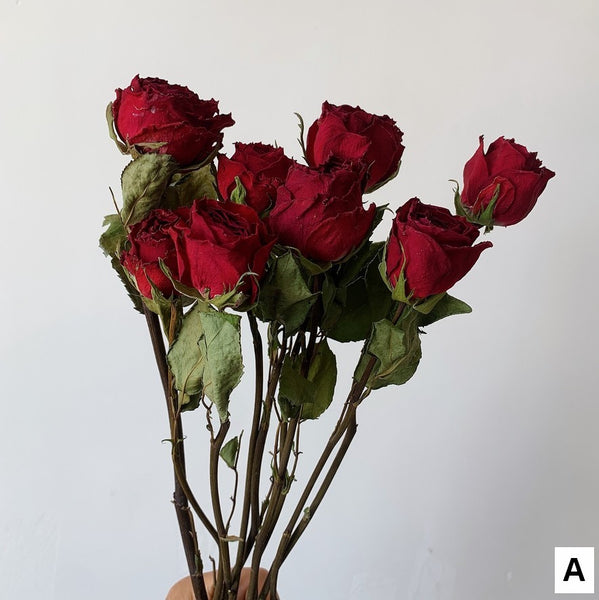 Dried Rose Floral Bouquet, Dried Rose Flowers, Natural Dried Rose Flower Bunches, A Bunch Dried Rose Flowers, Red Yellow Purple Dried Rose Flowers-Paintingforhome