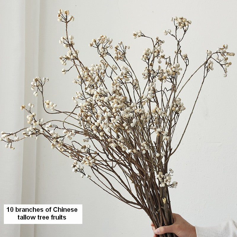 Dried Tree Twigs, Flower Arrangement, Dried Chinese Tallow Tree Twigs, Natural Decorations, Handmade Artificial Flower, Natural Dried Branches-Paintingforhome