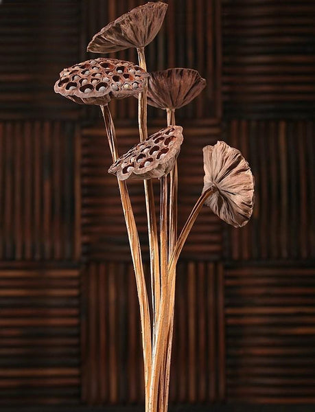 Lotus Flower Arrangement, 10 Stems Lotus Pods, Dried Lotus Pods, Natural Decor, Rustic Decor-Paintingforhome