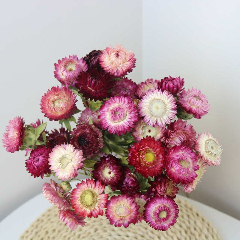 Flower Arrangements, Natural Dried Purple Daisy Flowers, Natural Decorations, A Bunch of Dried Daisy Flowers, Handmade Artificial Flowers for Home Decor-Paintingforhome