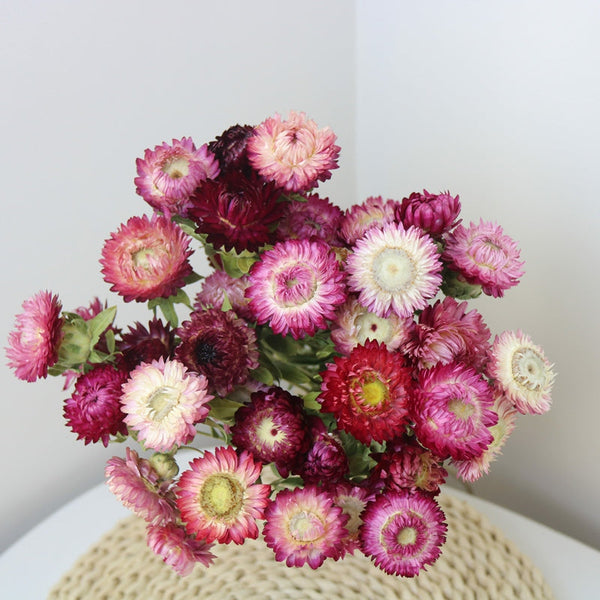 Flower Arrangements, Natural Dried Purple Daisy Flowers, Natural Decorations, A Bunch of Dried Daisy Flowers, Handmade Artificial Flowers for Home Decor-Paintingforhome