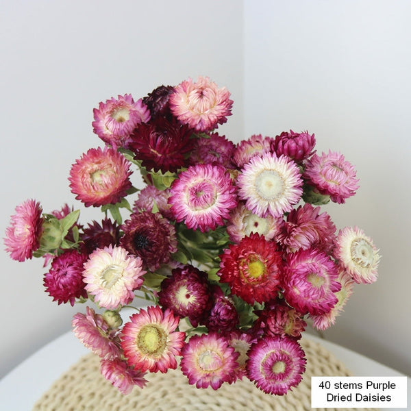 Flower Arrangements, Natural Dried Purple Daisy Flowers, Natural Decorations, A Bunch of Dried Daisy Flowers, Handmade Artificial Flowers for Home Decor-Paintingforhome