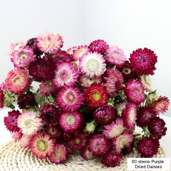 Flower Arrangements, Natural Dried Purple Daisy Flowers, Natural Decorations, A Bunch of Dried Daisy Flowers, Handmade Artificial Flowers for Home Decor-Paintingforhome