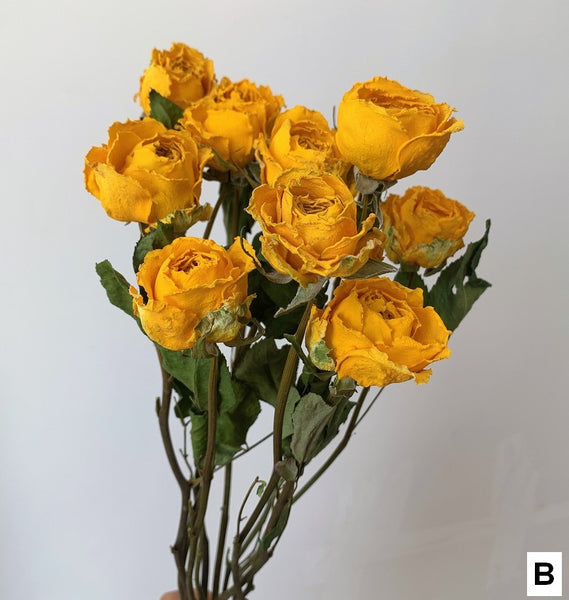 Dried Rose Floral Bouquet, Dried Rose Flowers, Natural Dried Rose Flower Bunches, A Bunch Dried Rose Flowers, Red Yellow Purple Dried Rose Flowers-Paintingforhome