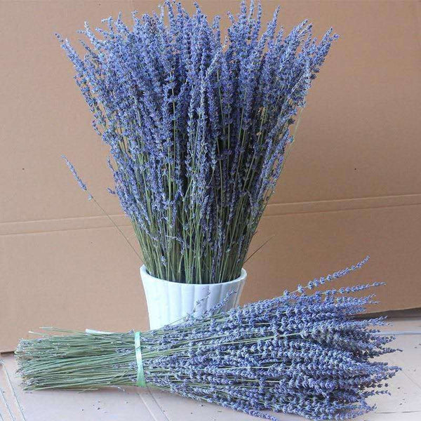 Flower Arrangements, Natural Dried Lavender Flower Bouquet, Natural Dried Lavender Flowers, A Bunch of Dried Lavender Flowers, Handmade Artificial Flowers for Home Decor-Paintingforhome