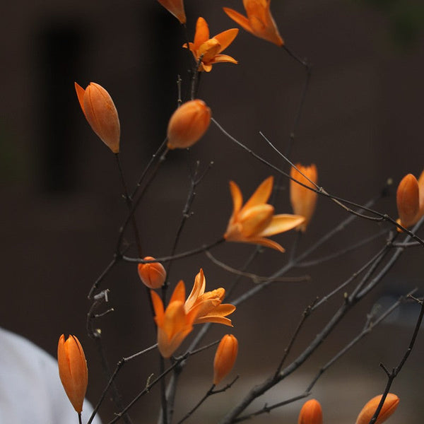 Magnolia Long Twigs, Natural Decorations, Dried Magnolia Branch, Flower Arrangement, Handmade Artificial Flower, Natural Dried Branches-Paintingforhome