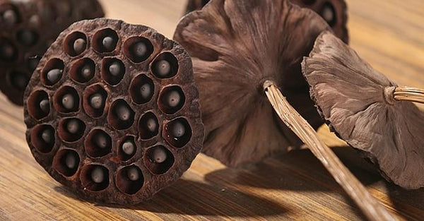 Lotus Flower Arrangement, 10 Stems Lotus Pods, Dried Lotus Pods, Natural Decor, Rustic Decor-Paintingforhome