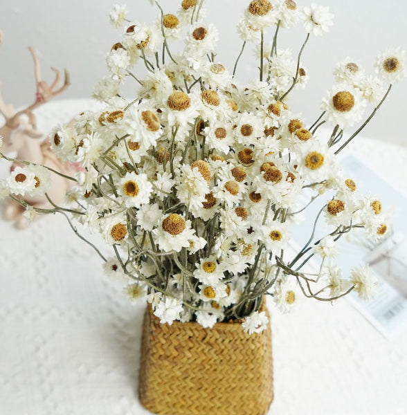 Flower Arrangements, Natural Dried Daisy Flower Bouquet, Natural Dried Daisy Flowers, A Bunch of Dried Daisy Flowers, Handmade Artificial Flowers for Home Decor-Paintingforhome