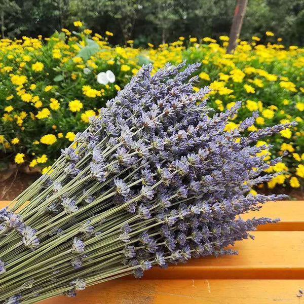 Flower Arrangements, Natural Dried Lavender Flower Bouquet, Natural Dried Lavender Flowers, A Bunch of Dried Lavender Flowers, Handmade Artificial Flowers for Home Decor-Paintingforhome