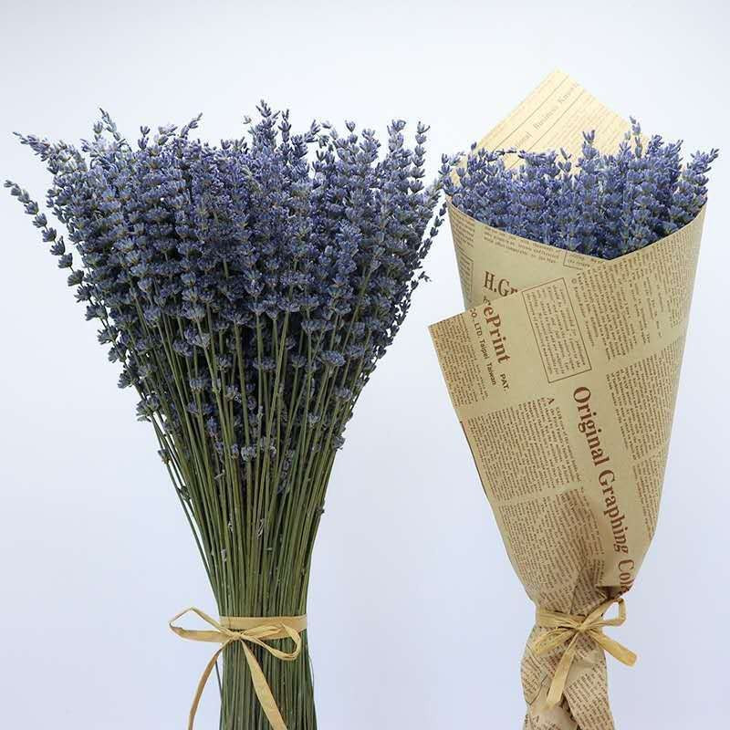 Dried Lavender Flower Bouquet, Aromatic Preserved Lavender, Calming Purple Blooms, Fragrant Dried Lavender Bunch, Provence Style Home Decor