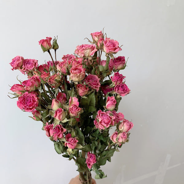 Red Yellow Purple Dried Rose Floral, Dried Rose Flower Bouquet, A Bouquet of Dried Rose Flowers, Natural Dried Rose Flower Bunches, A Bunch Dried Rose Flowers-Paintingforhome