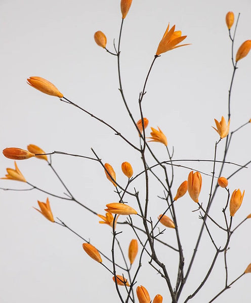 Magnolia Long Twigs, Natural Decorations, Dried Magnolia Branch, Flower Arrangement, Handmade Artificial Flower, Natural Dried Branches-Paintingforhome