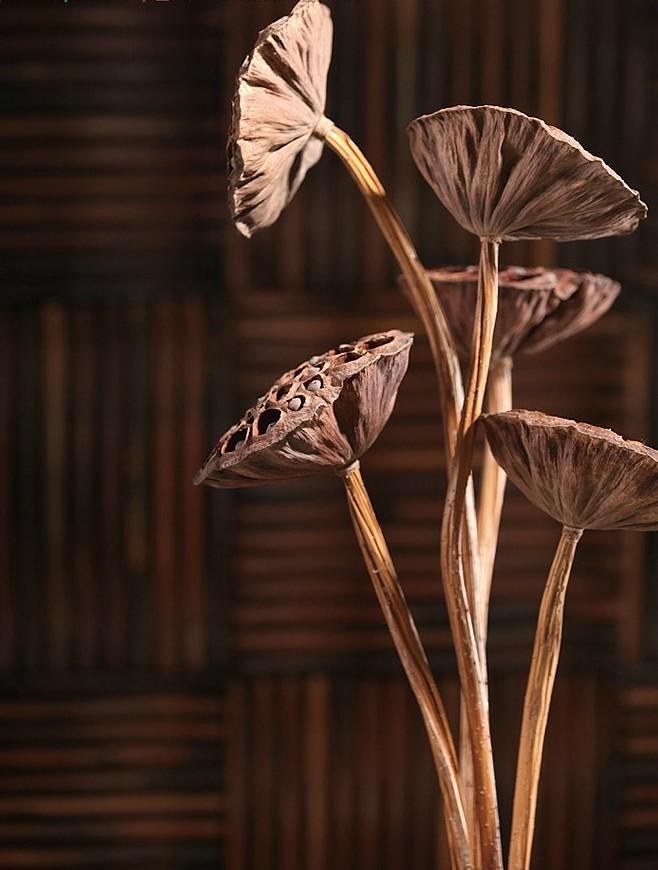 Lotus Flower Arrangement, 10 Stems Lotus Pods, Dried Lotus Pods, Natural Decor, Rustic Decor-Paintingforhome