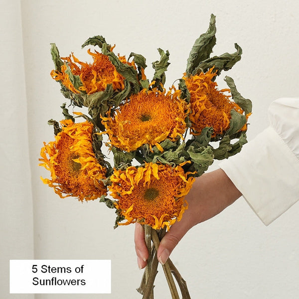 Natural Decorations, A Bunch of Sunflowers, Flower Arrangement, Handmade Artificial Flowers for Home Decor, Natural Dried Sunflower Stems-Paintingforhome