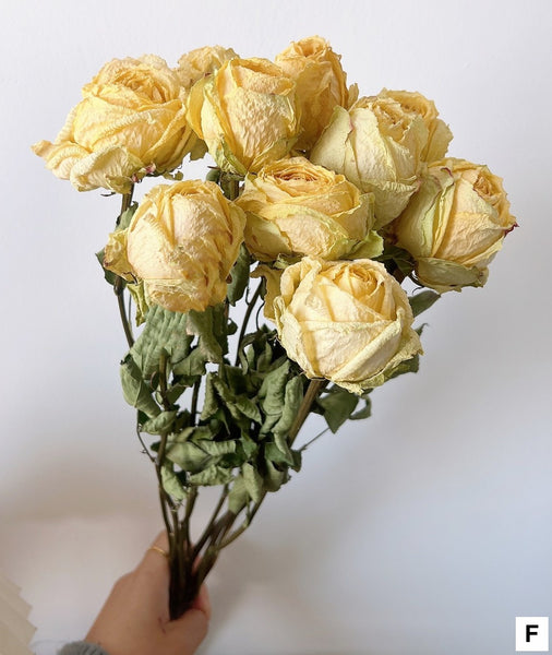 Dried Rose Floral Bouquet, Dried Rose Flowers, Natural Dried Rose Flower Bunches, A Bunch Dried Rose Flowers, Red Yellow Purple Dried Rose Flowers-Paintingforhome