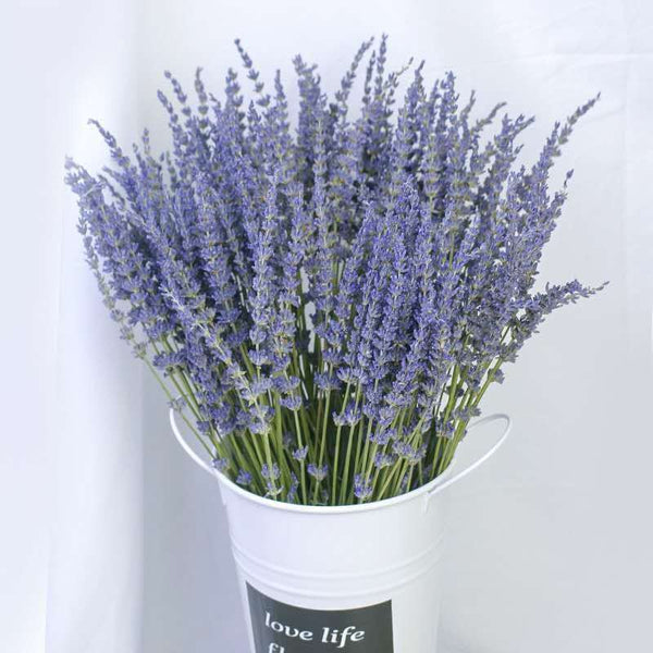 Flower Arrangements, Natural Dried Lavender Flower Bouquet, Natural Dried Lavender Flowers, A Bunch of Dried Lavender Flowers, Handmade Artificial Flowers for Home Decor-Paintingforhome