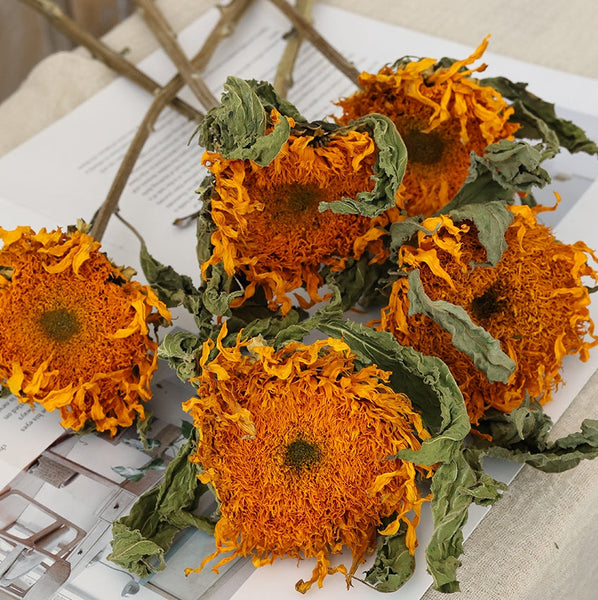 Natural Decorations, A Bunch of Sunflowers, Flower Arrangement, Handmade Artificial Flowers for Home Decor, Natural Dried Sunflower Stems-Paintingforhome