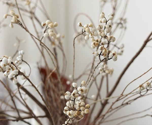Dried Tree Twigs, Flower Arrangement, Dried Chinese Tallow Tree Twigs, Natural Decorations, Handmade Artificial Flower, Natural Dried Branches-Paintingforhome