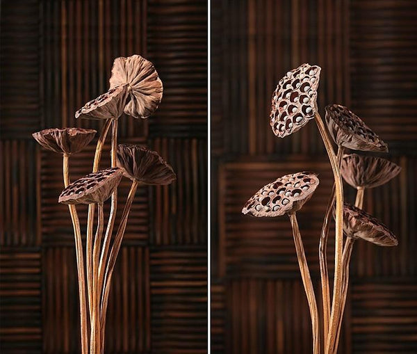 Lotus Flower Arrangement, 10 Stems Lotus Pods, Dried Lotus Pods, Natural Decor, Rustic Decor-Paintingforhome