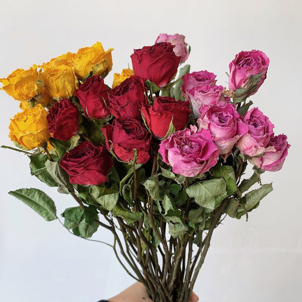 Dried Rose Floral Bouquet, Dried Rose Flowers, Natural Dried Rose Flower Bunches, A Bunch Dried Rose Flowers, Red Yellow Purple Dried Rose Flowers-Paintingforhome