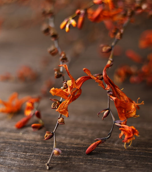 Natural Decorations, Flower Arrangement, Handmade Artificial Flower, Dried Fire Orchid Bouquet, Natural Dried Flowers-Paintingforhome