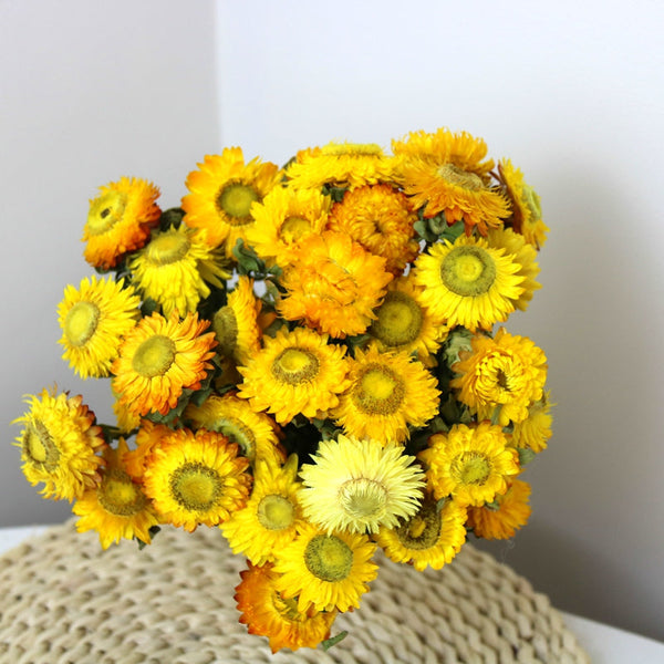 Natural Decorations, A Bunch of Dried Daisy Flowers, Flower Arrangements, Natural Dried Yellow Daisy Flowers, Handmade Artificial Flowers for Home Decor-Paintingforhome