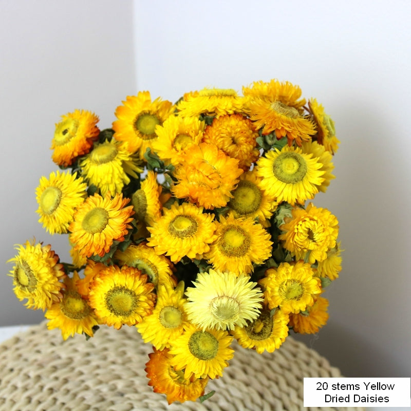 Natural Decorations, A Bunch of Dried Daisy Flowers, Flower Arrangements, Natural Dried Yellow Daisy Flowers, Handmade Artificial Flowers for Home Decor-Paintingforhome