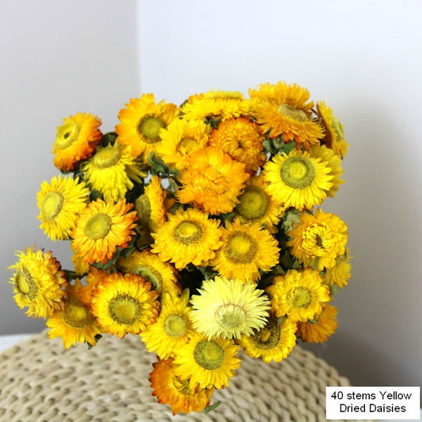 Natural Decorations, A Bunch of Dried Daisy Flowers, Flower Arrangements, Natural Dried Yellow Daisy Flowers, Handmade Artificial Flowers for Home Decor-Paintingforhome