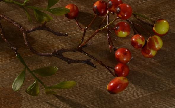 Rustic Artificial Autumn Fruit, Stem 28" Tall, Flower Arrangement, Botanicial Plant-Paintingforhome