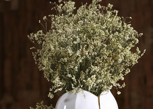 Decorative Grass, Floral arrangements, bouquets, dried crystal flowers, dried grass-Paintingforhome