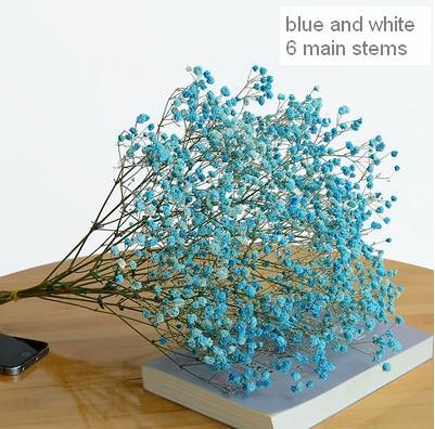 Blue jug vase with bulk gypsophila dried white flowers Stock Photo by  Frostroomhead