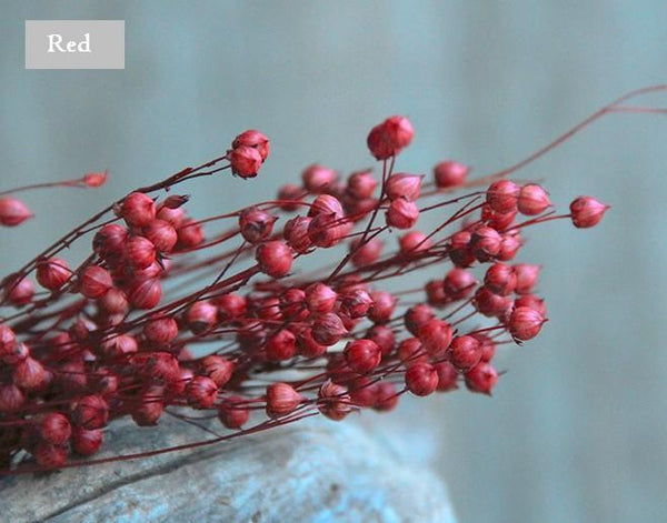 Natural Dried Flower Arrangements, A Bunch Dried Acacia Beans, Dried Floral, Bulk Flowers-Paintingforhome