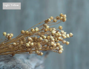 Natural Dried Flower Arrangements, A Bunch Dried Acacia Beans, Dried Floral, Bulk Flowers-Paintingforhome