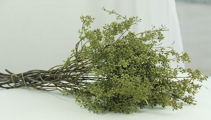 Dried Seek, Dried Flowers, Botanical Home Decor, Seed Stalks. Natural Greenery-Paintingforhome