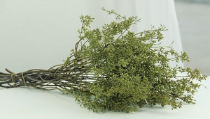 Dried Seek, Dried Flowers, Botanical Home Decor, Seed Stalks. Natural Greenery-Paintingforhome