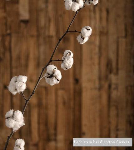 Dried Cotton Stalks, Cotton Stalks, Dried Decor, Natural Decorations, Cotton Flower-Paintingforhome