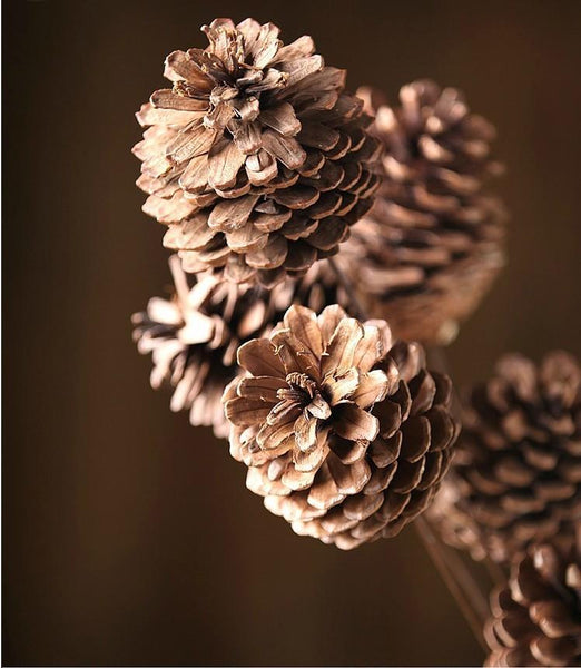 Natural Pine Cones, Pinecones, Flower Arrangement, Fall Decor, Wedding Decor, Pine Cone Crafts-Paintingforhome
