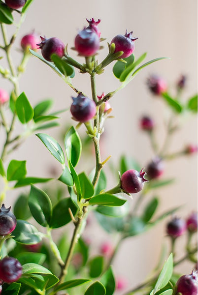 Simple Artificial Flowers for Living Room, Blueberry Fruit Branch, Flower Arrangement Ideas for Home Decoration, Spring Artificial Floral for Bedroom-Paintingforhome